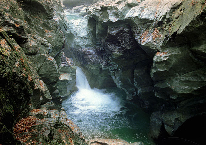 取水地は、環境の守られた国定公園内